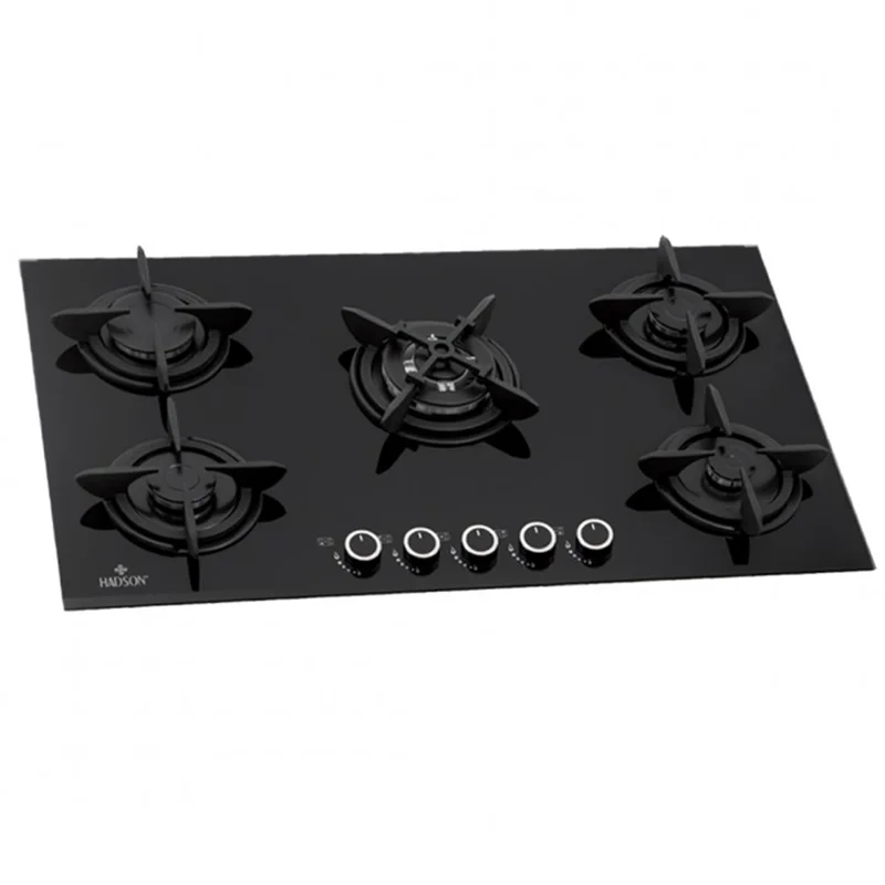 گاز صفحه ای هادسون مدل G 501